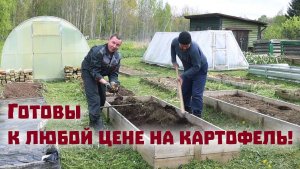 Главная работа и забота мая - позади!