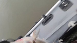 Первый опыт рыбалки Panoptix 34 датчик! За что я отвалил куч