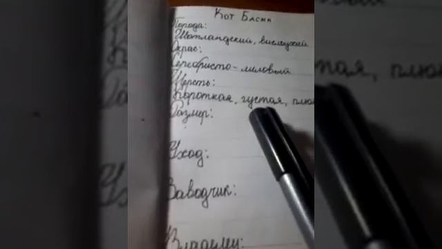Делаю паспорт для Басика. смотреть онлайн