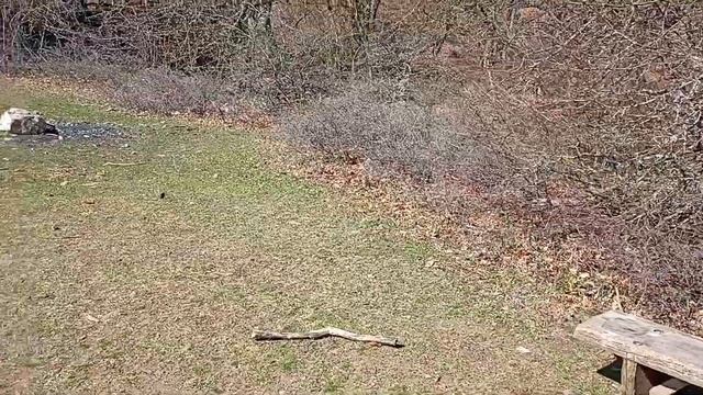 Ангарский перевал. Роща секвой и Кутузовское озеро на смотреть онлайн