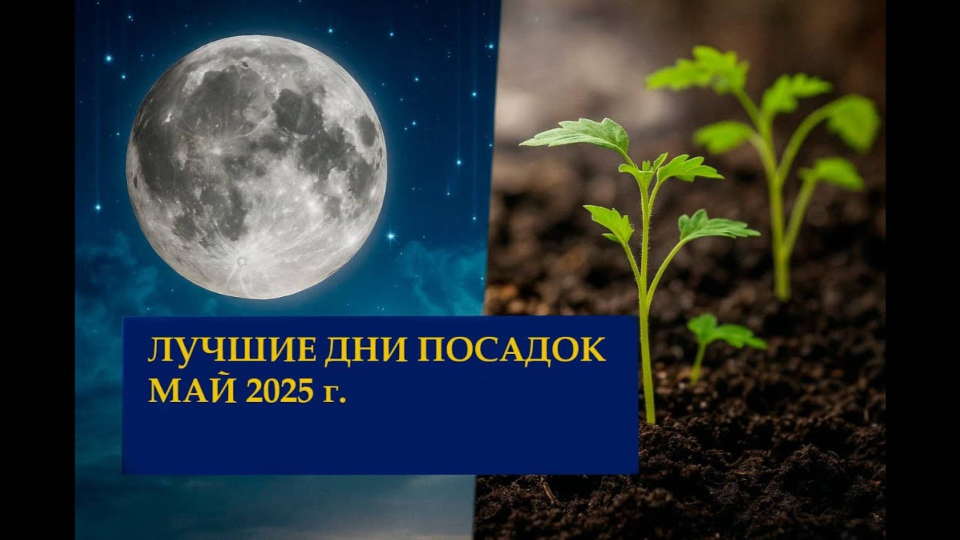ЛУННЫЙ КАЛЕНДАРЬ САДОВОДА И ОГОРОДНИКА НА МАЙ 2025! Самые благоприятные дни смотреть онлайн