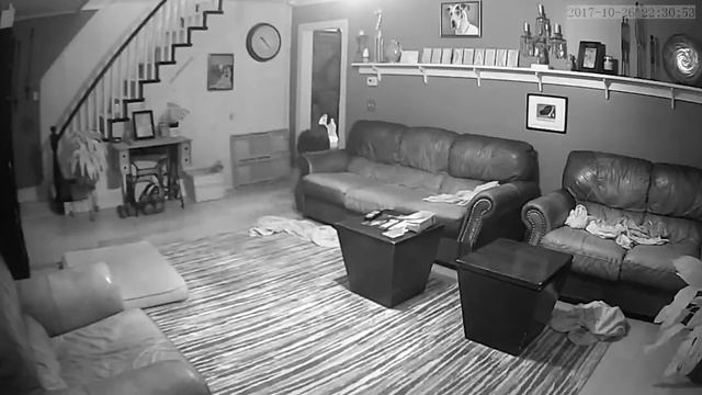 105 НЕВЕРОЯТНЫХ МОМЕНТОВ, СНЯТЫХ НА КАМЕРЫ НАБЛЮДЕНИЯ | смотреть онлайн