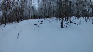 Охота на Лося в Сибири Взяли необычного лося