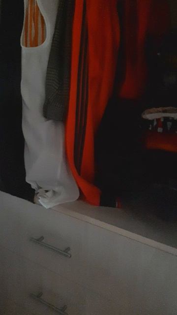 Смешные коты Лайк #интересныеистории#котыикошки#домашниепитомцы смотреть онлайн