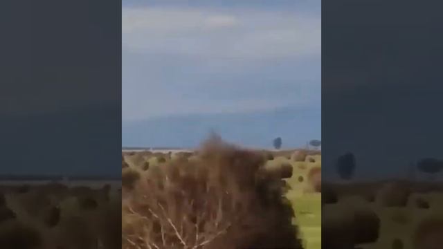 Маленькое видео с большим смыслом