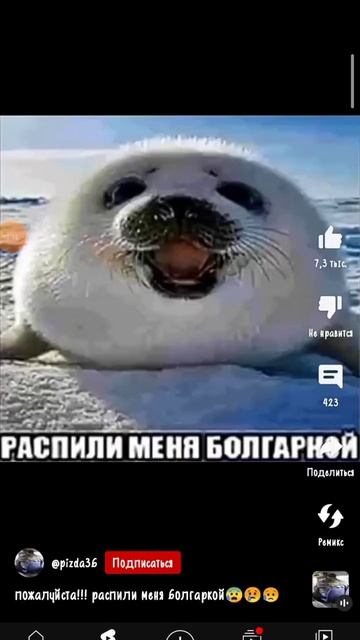 пожалуйста!!! распили меня болгаркой.ну, распили 😨😰? смотреть онлайн