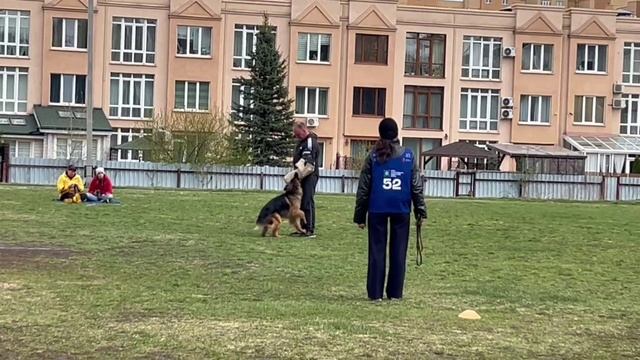 1 Отл. КЧК Югория ЦВЕТАНА +++ №52 / КЧК КЕМЕРОВО 4 мая`25 И.Ширан Моно н/о