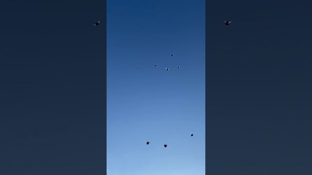 3 января 2024 г.