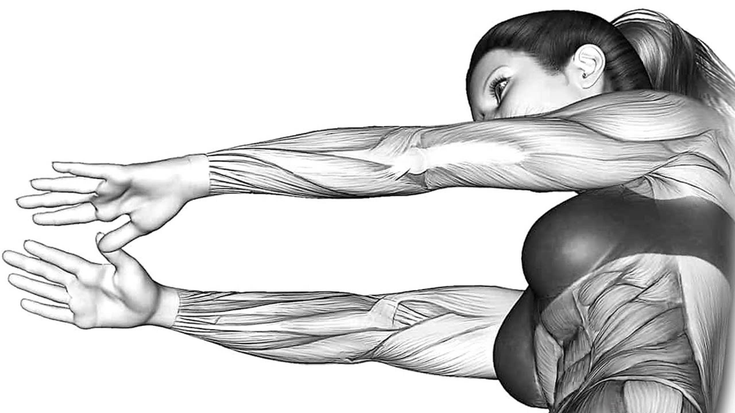 6-минутная Тренировка Рук для Женщин смотреть онлайн