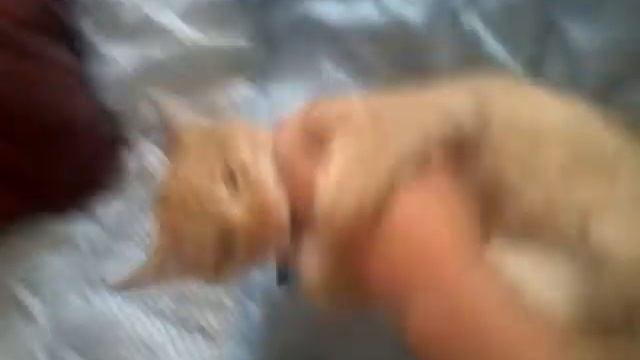 Не выспался смотреть онлайн