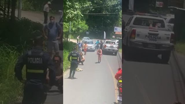 Ленивец ПЕРЕПОЛЗАЕТ ЧЕРЕЗ аВТОДОРОГУ смотреть онлайн