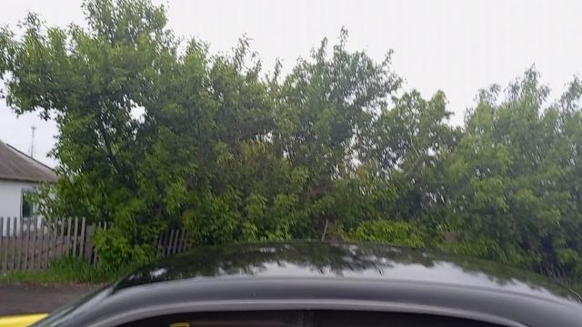 1000006134.mp4 смотреть онлайн