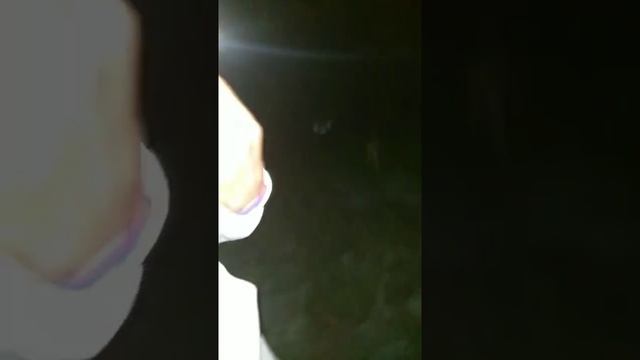 Разговор с духами через Spirit Box