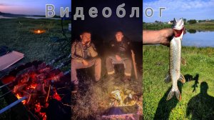 Видеоблог. Рыбалка с ночёвкой, поймали щуку.