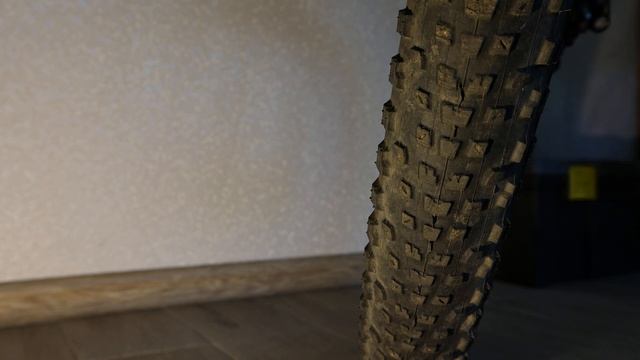 MAXXIS RECON RACE 2025 29/ 2.25 + ОБОДА DT SWISS 533D 29 смотреть онлайн