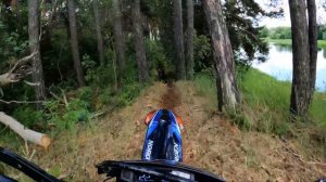 Лесная поездка на Эндуро в 4К | RegulMoto Norden 300