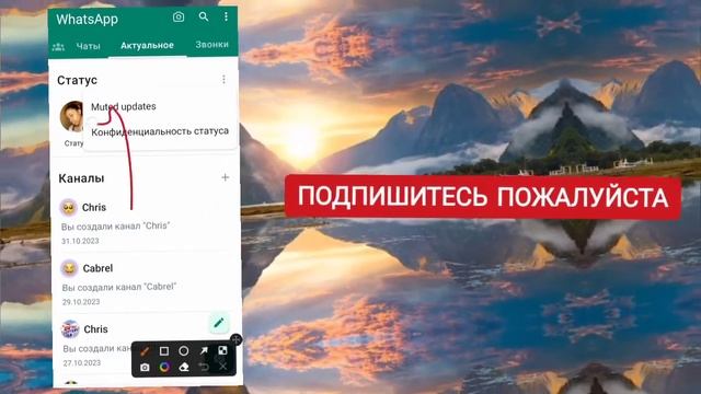 как посмотреть скрытые статусы в WhatsApp смотреть онлайн
