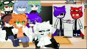 Реакция разноцветных котов на ✨разные видео✨ 2/2 | энд?