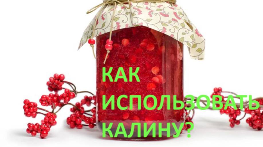 Калина обыкновенная. Как использовать? Рецепты смотреть онлайн
