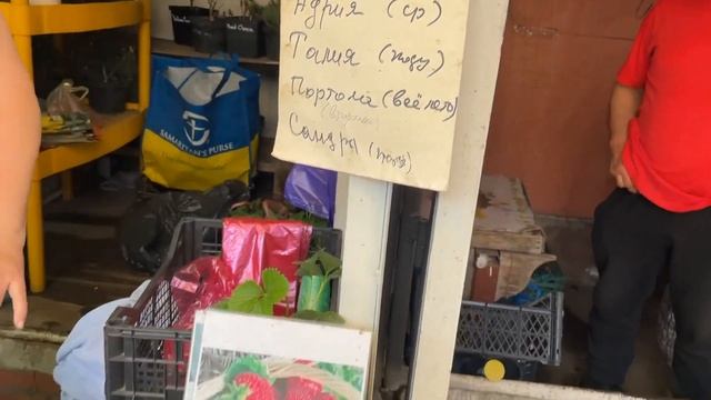 Цветочный рай Харькова #Харьков #ЦветочныйРынок #Цвет? смотреть онлайн