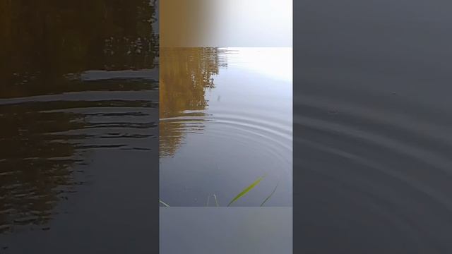 замедленные камешки