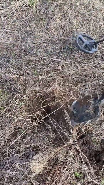 #metaldetecting #находки #поискмонет #коп #металлоискатель #meta смотреть онлайн