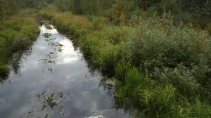 Вездеход СТРАННИК