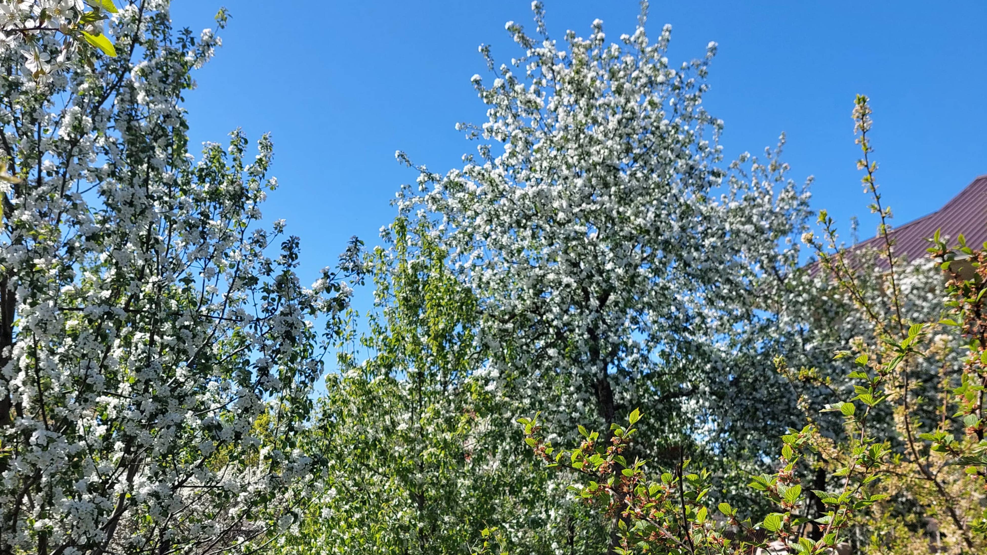 1. Тюмень. Весна 2025 год