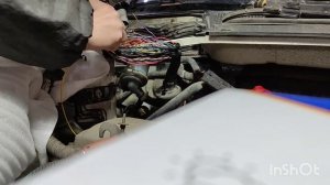 22 января 2025 г.