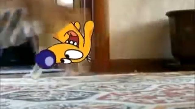 Кот ушел красиво.mp4 смотреть онлайн