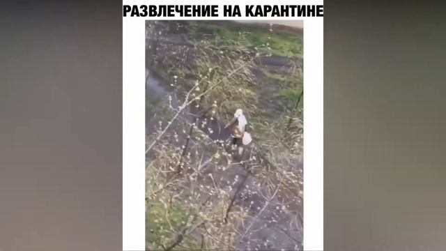 Лучшие приколы №68 от Smeshnoff TV смотреть онлайн