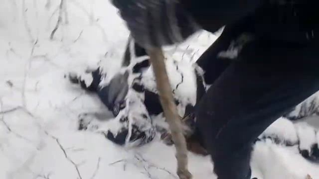 Прикол на Кизиловке в Нальчике смотреть онлайн