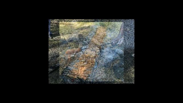 Приколы с шашликом! смотреть онлайн