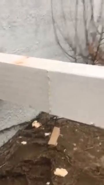 Клей-пена Tex-Color OK-900 Тест приклеивания смотреть онлайн