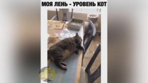 Лучшие Приколы 2020 . Тест На Психику . Coub #4