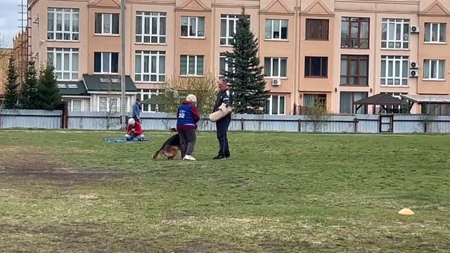 3 Отл. Groundqueen GLORIYA +++ №32 / КЧК КЕМЕРОВО 4 мая`25 И.Ширан Моно н/о