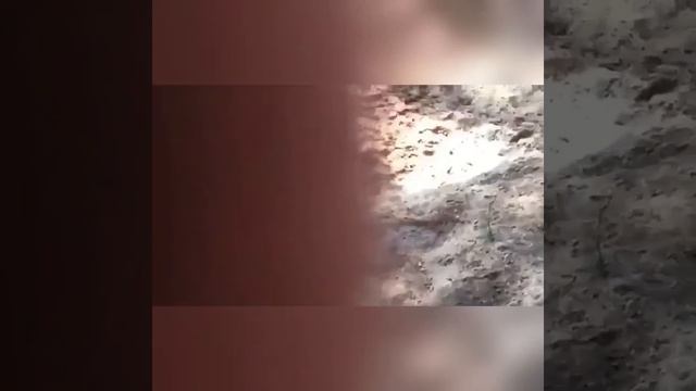 ТОП 5 Случаев Когда Повезло или Не очень!!!! Смешное видео. Приколы. смотреть онлайн