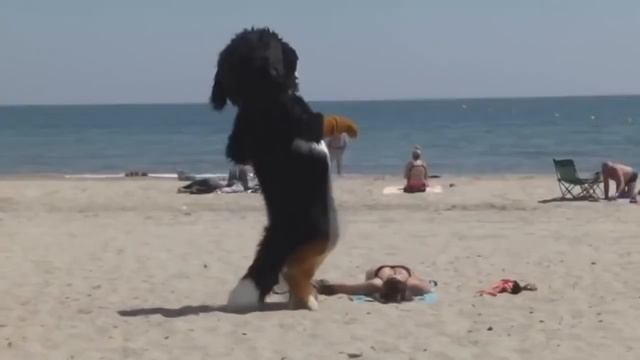 Приколы .Приколы видио в этом видео вы найдёте всё смотреть онлайн
