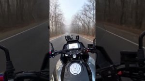 Мотодекабрь Cyclone RX401