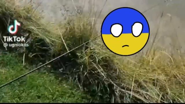 ноу ноу ноу мистер фиш смотреть онлайн