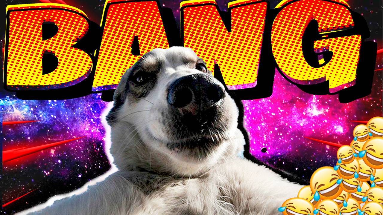 ЛУЧШИЕ ПРИКОЛЫ МАЙ 2025 | ПОПРОБУЙ НЕ ЗАСМЕЯТЬСЯ | ТЕСТ НА ПСИХИКУ | РЖАКА ДО СЛЕЗ смотреть онлайн