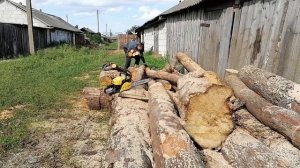 Испытание бензопилы Champion 246