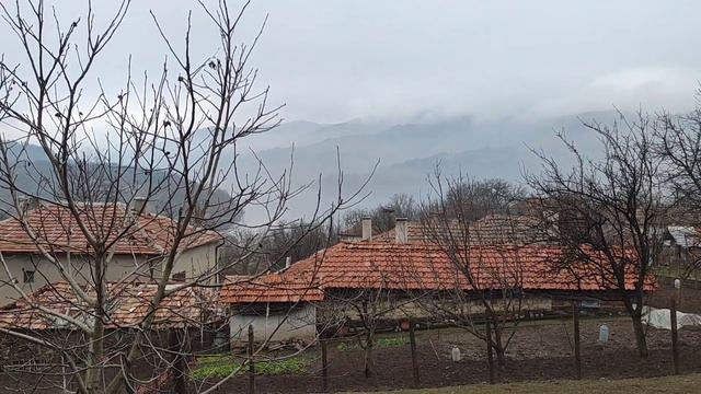 #130 Реновирам стар шкаф и подрязвам дръвчетата в двора