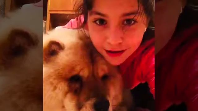 Топ5факта за мен ;Топ 5 факта за Джейкъб;смях зад кадър? смотреть онлайн