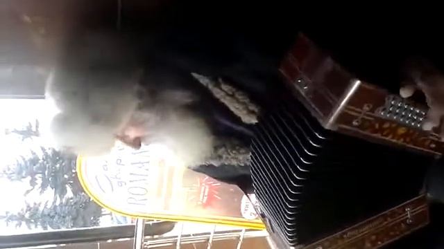 дед мазай смотреть онлайн