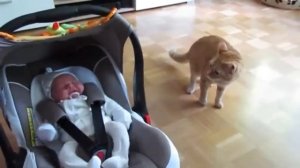 Смешные испуги людей и животных. Подборка 2019