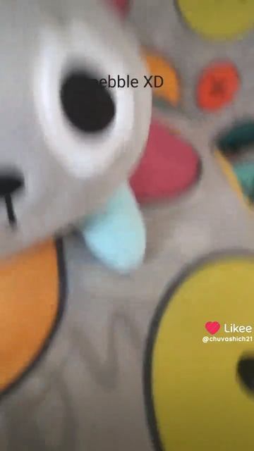 pebble Dandy's world🌻