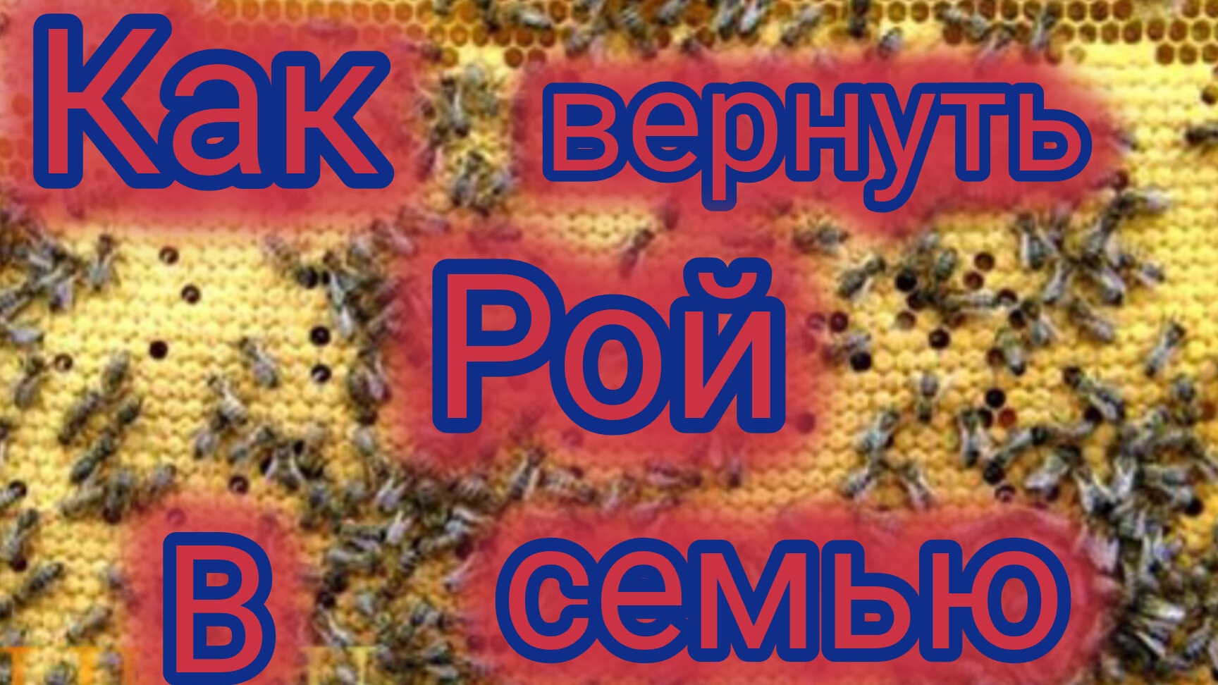 Как вернуть рой в семью 🐝 смотреть онлайн