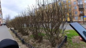 Прогулка по Северодвинску с Аней. От 100 квартала до парка Поколений. 09.05.2025