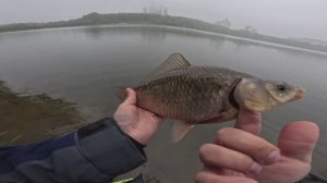 На рыбалку в дождик.  Карась на спиннинг. Московские пруды. Ультралайт.